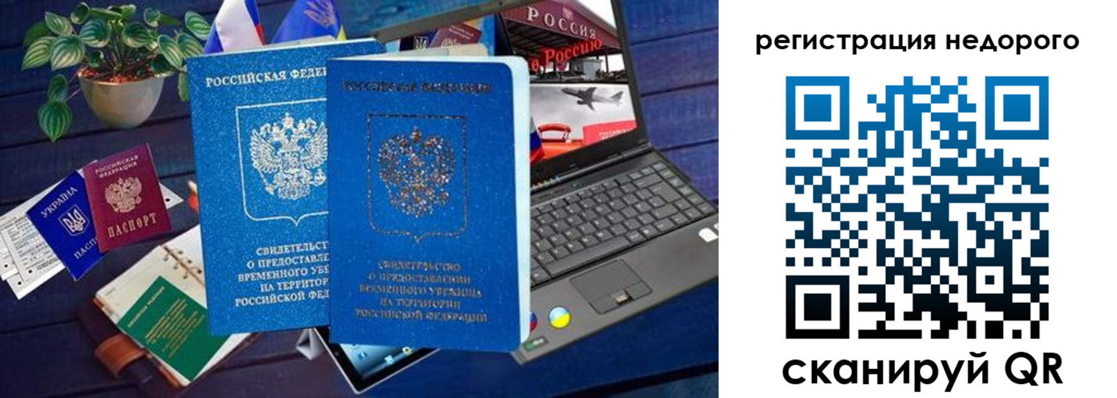 купить прописку в Нелидово